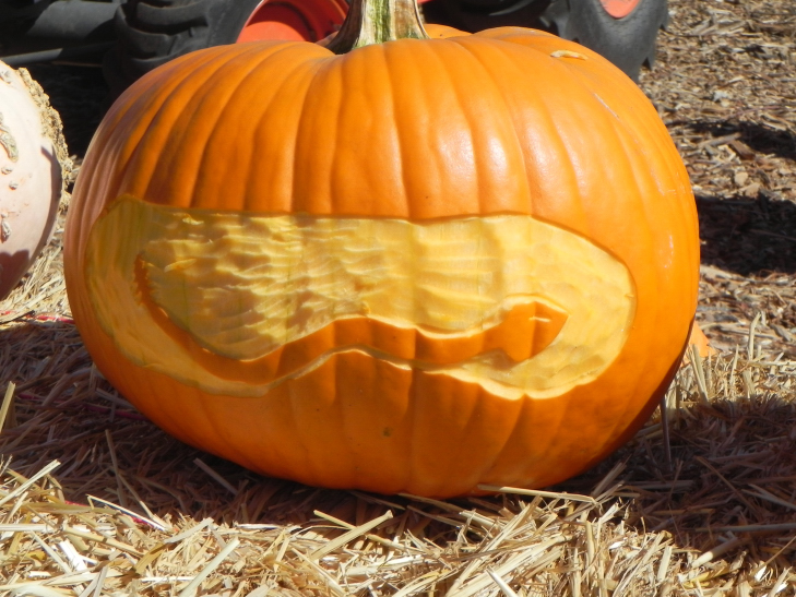 Pumpkin Carving Idea Snake